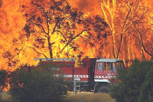 Tasmanian Bushfires 1967