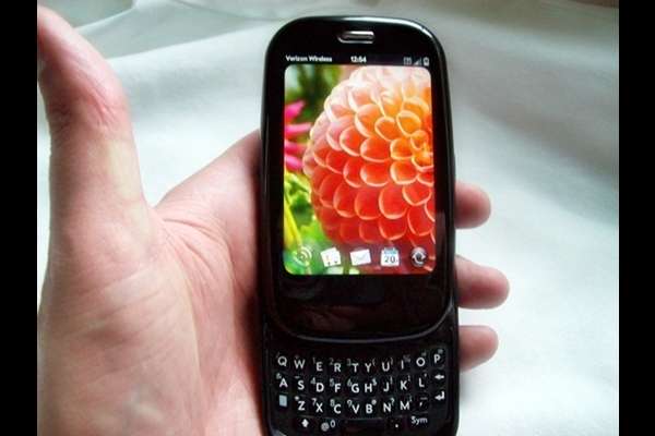 Palm 100 Pre